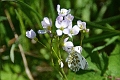 12 05 12_0675_edited-1